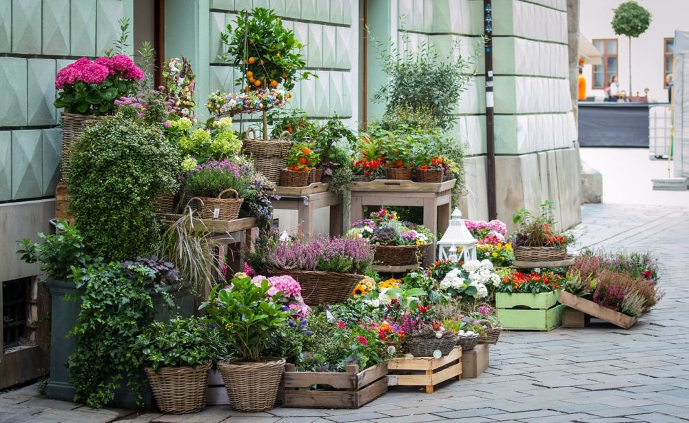Blomsterbutikk oslo  slik finner du rette butikken for anledningen